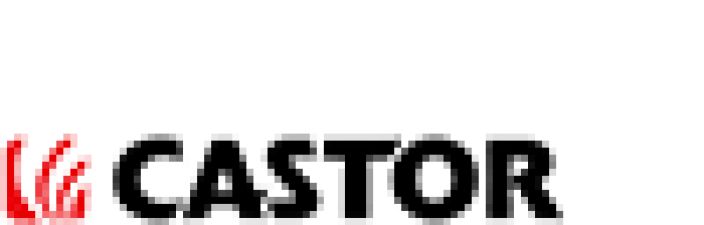 Castor Castor logo