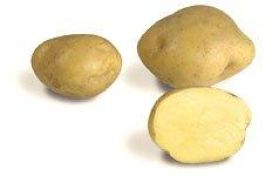 maa-aitta Istukasperuna Timo 5kg