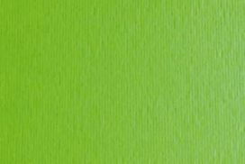 Sadipal Askartelukartonki 220g 50x70 vaaleanvihr. 450710