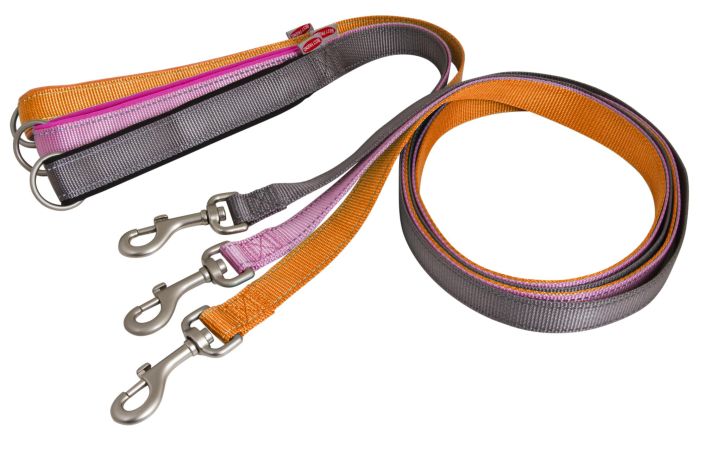 BF Pawsome koiran talutin M/L 25mmx180cm 15-30kg 1142000 905-572 1142000