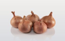 Salottisipuli 7/15 500g