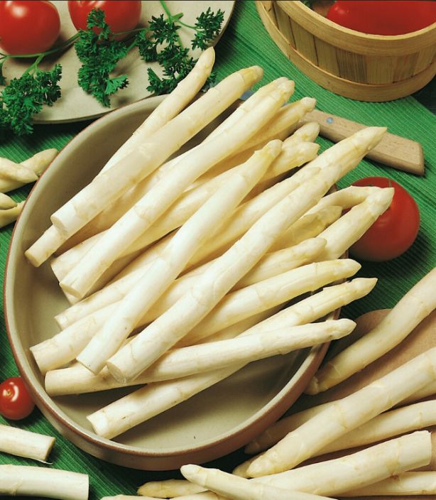 Parsantaimet Gijnlim 10kpl 920-360 Parsantaimet Gijnlim 10kpl 920-360