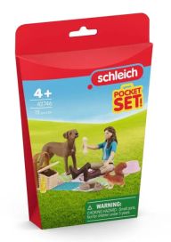 Schleich Sch Pocket Set Picnic with Lisa 42746
