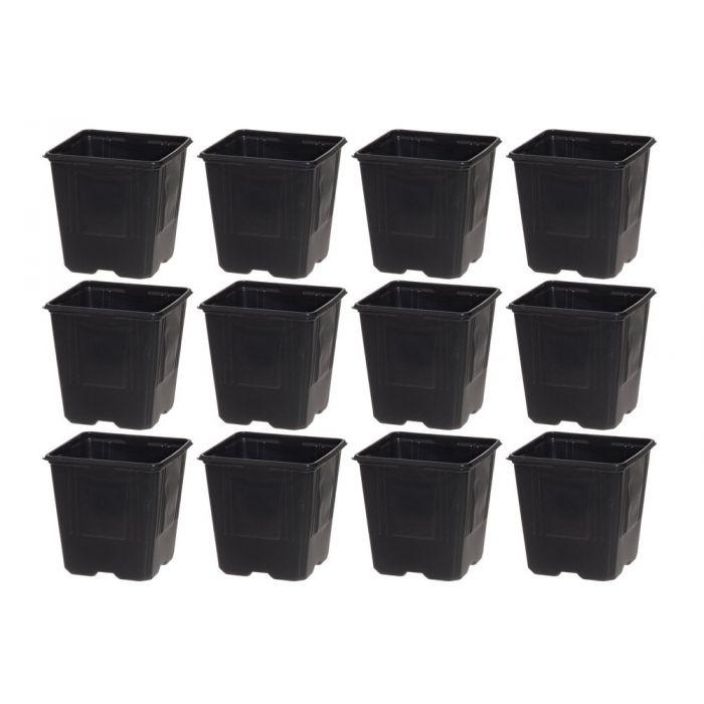 Taimiruukku 11cm 12kpl 328157 tuotekuva 1