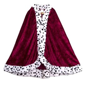 Kuninkaan viitta rooliasu