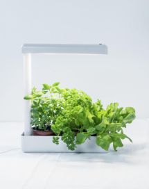 Airam Airam Herby led -kasvivalaisin 12W 9610506