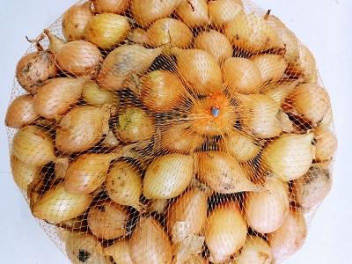 Sturon istukassipuli 500g 297025 920-275