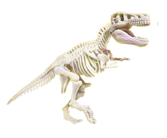 Clementoni Dig line T-Rex 48078779 tuotekuva 2