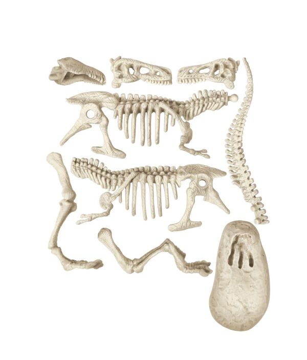 Clementoni Dig line T-Rex 48078779 tuotekuva 1