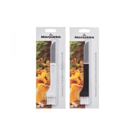 Marjukka Sieniveitsi