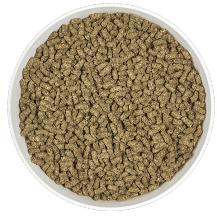 Cunipic Alpha Pro Guinea Pig 1,75kg tuotekuva 1
