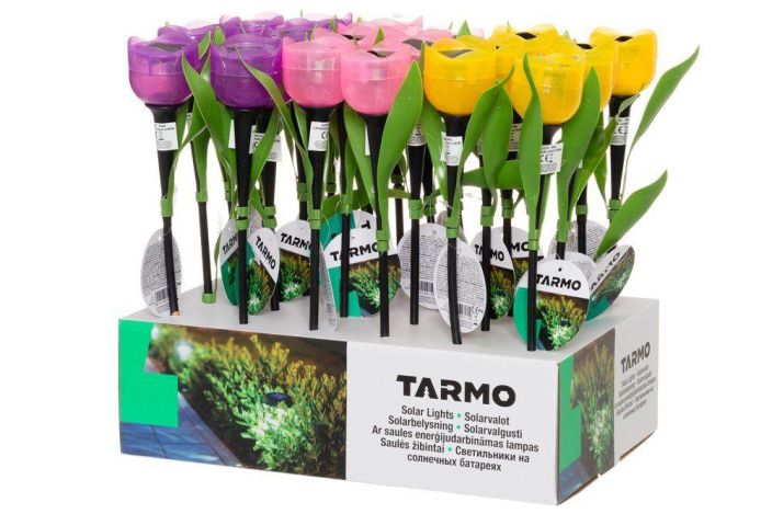 Tarmo Valokukka solar 623170 tuotekuva 1