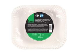 Saana Saana kertakäyttölautanen grilli 25kpl 332713