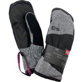 Winter Mittens Ski talvihanskat 3M