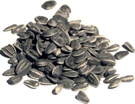 Auringonkukansiemen 10kg