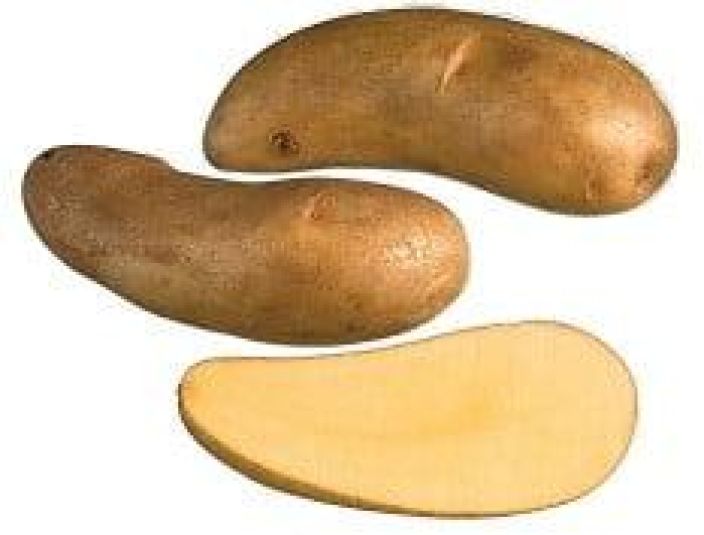 Istukasperuna Puikula 1kg 920-294