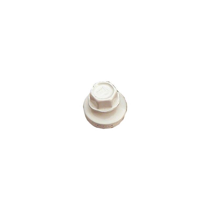 Kateruuvi 4,8x25mm RR20 valkea 250kpl tuotekuva 1