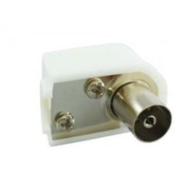 Antennipistike kulma naaras