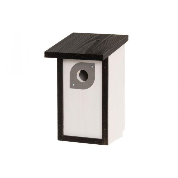 Tintti Linnunpontto valk. 600008 924-5604