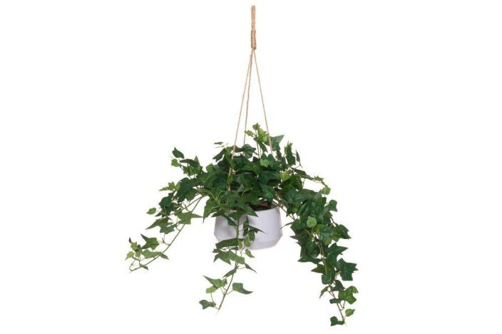 4Living Muratti amppelissa 16cm 631987 924-4543