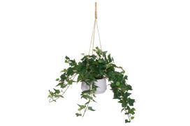 4Living 4Living Muratti amppelissa 16cm 631987