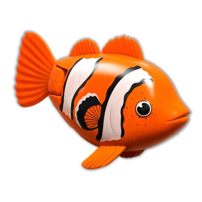 Rainbow Reef Fish - Clown kala6072502
