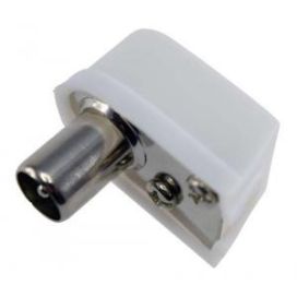 Antennipistike kulma uros