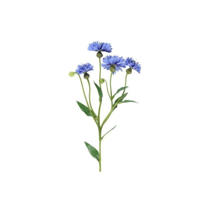 4Living Ruiskukka oksa 61,5cm 631842 tuotekuva 1