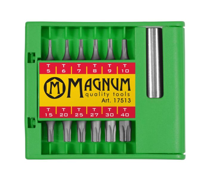 Karkisarja TORX 13-osainen 17513 980-1425