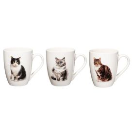4Living 4Living Kissamuki 34cl laj. 653131
