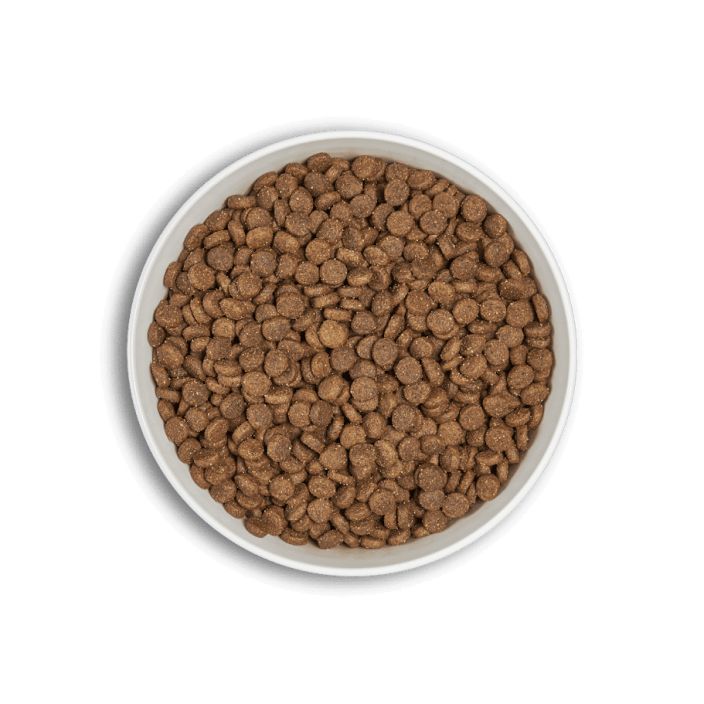 ERA Grain-Free Adult - Fresh Salmon &amp; Duck 1,25kg Viljaton, lohta ja ankkaa sisaltava taysravinto