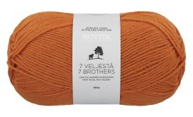 Novita Novita 7 veljestä 273 hapero 100g 182273