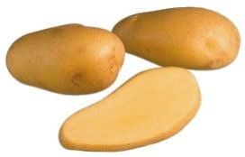 maa-aitta Istukasperuna Siikli 5kg